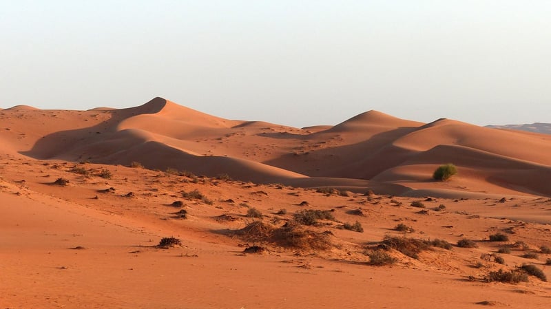 Arabian Desert